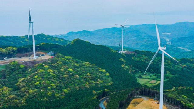 广阔的绿色森林，三个风力涡轮机高耸在景观之上
